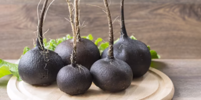 Secretul vechi de secole pentru un ficat sănătos: Ridichea neagră cu miere care îți transformă digestia în doar 7 zile!