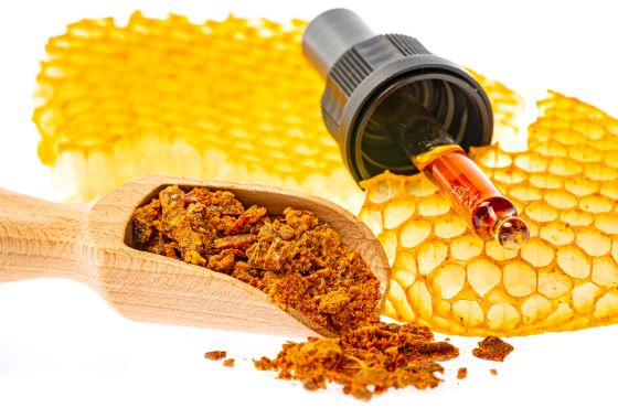 Tinctura de propolis si usturoi