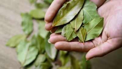 Descoperă rețeta secretă cu cuișoare și dafin care oprește căderea părului în doar 3 săptămâni!