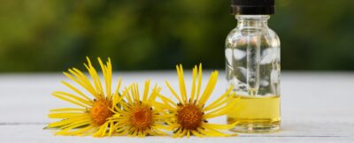 Șocant: 3 plante simple care pot readuce tonusul vezicii leneșe — rețeta secretă a fitoterapeuților!