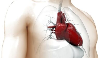 Nu vei mai mânca niciodată noaptea după ce afli ce afectează inima ta!