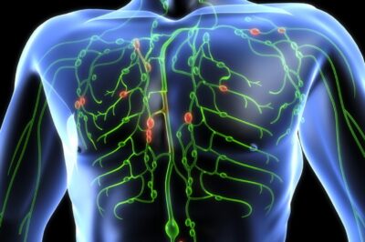 Nu vei crede ce plante îți pot transforma complet sistemul limfatic și îți dau energie instant!