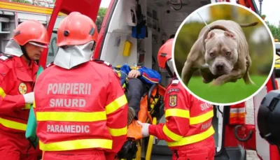 Tragedie șocantă: Femeie de 70 de ani ucisă de câinele familiei în propria curte!