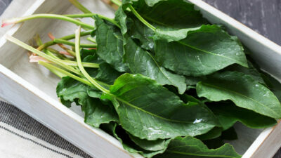 Semințele de ștevie, secretul ascuns pentru digestie, imunitate și siluetă! Află de ce ar trebui să le consumi zilnic!