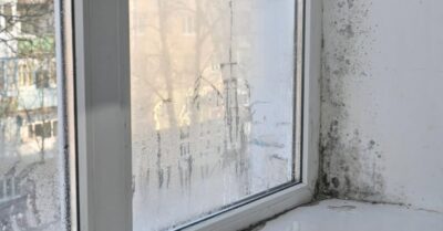 Adevărul ȘOCANT despre umezeala din casă: Cum îți poate distruge sănătatea și portofelul fără să-ți dai seama!