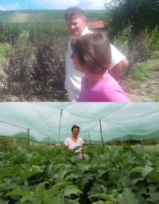 Au renunțat la joburi pentru a cultiva asta în grădină. Acum fac bani grămadă și nu mai prididesc cu munca