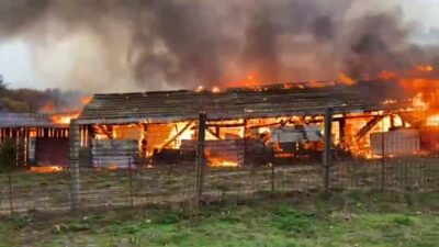 Tragedie în Prahova: Bătrân găsit carbonizat într-un incendiu devastator care a mistuit o rulotă și mai multe animale!