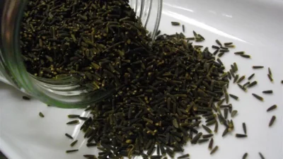 Ingredientul găsit în mormântul lui Tutankamon care ucide celulele canceroase. Medicii sunt în stare de șoc