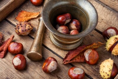 Nu vei crede ce se întâmplă în corpul tău dacă mănânci o linguriță de pulbere de castane în fiecare dimineață!