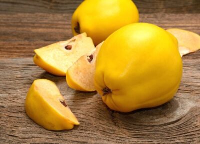 Beneficiile miraculoase ale GUTUILOR. Ce afectiuni trateaza si amelioreaza