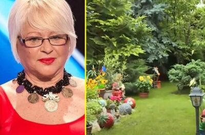 Băncile au crezut că moare și i-au refuzat creditul! Răzbunarea Mirabelei Dauer: trăiește într-un palat de 200.000 de dolari