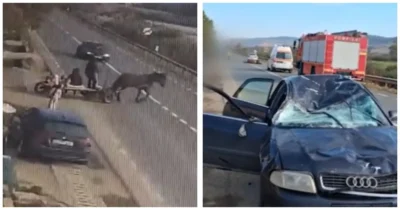 VIDEO ȘOCANT: A intrat cu Audi-ul într-o căruță. Ce a apărut pe parbriz i-a tăiat respirația