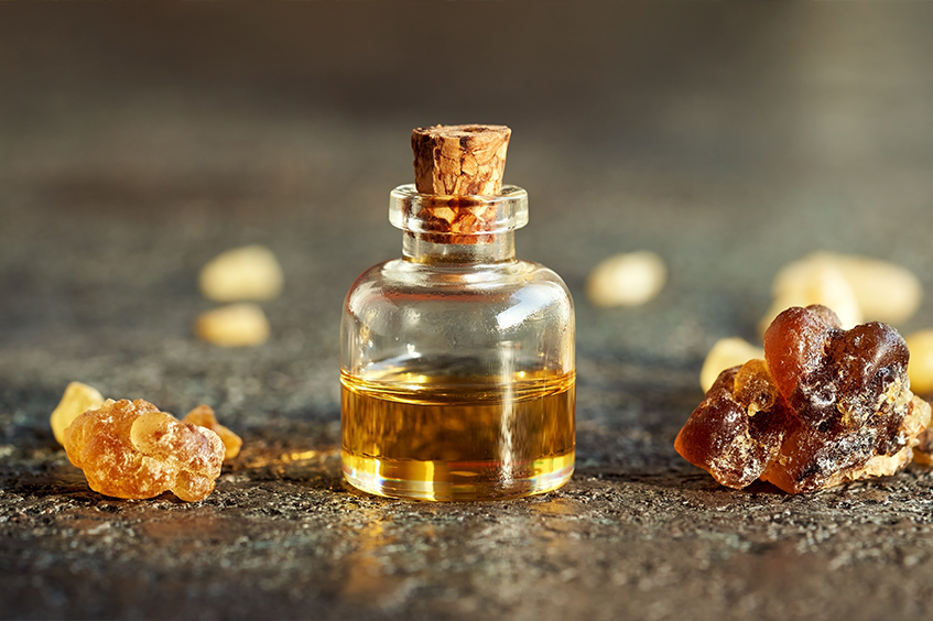 articol blog life tamaie