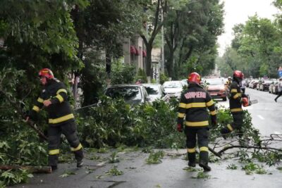 Alertă în Sectorul 2! 33 de copaci doborâți de furtună, mașini distruse și despăgubiri urgente – iată ce trebuie să faci acum!