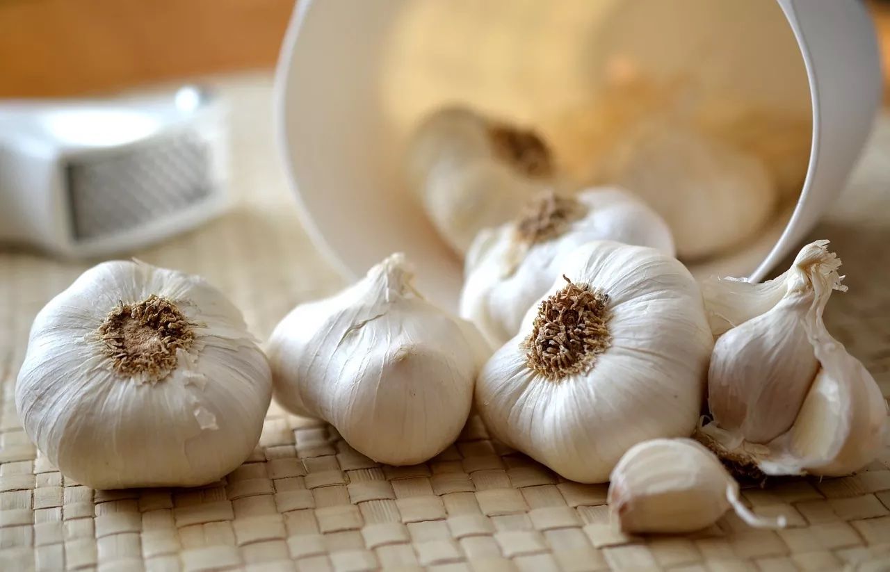 garlic g41aba3751 1280.jpg copy