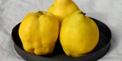 Ce se întâmplă în corpul tău dacă mănânci o gutuie pe zi? Medicii au rămas uimiți!