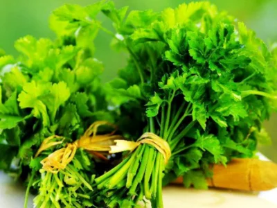 Nu vei crede ce se întâmplă în corpul tău dacă mănânci pătrunjel zilnic!