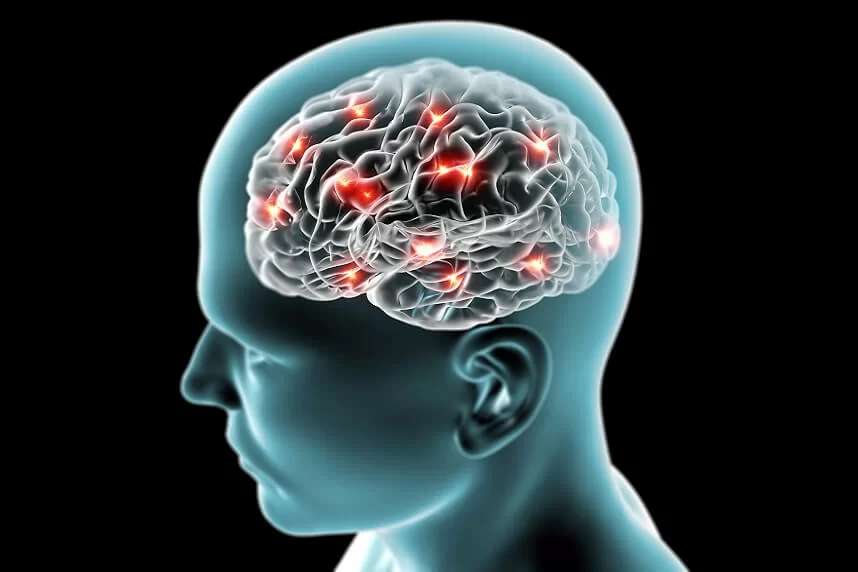 neuronii