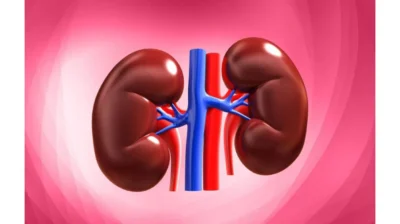 Ai acnee și ten tern? Adevărata problemă e la rinichi. Acest ceai din 3 plante curăță totul în 10 zile