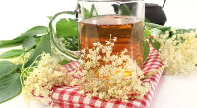 Descoperă planta miraculoasă care tratează răceala, durerile reumatice și îți salvează pielea – Ceaiul de soc te va uimi!