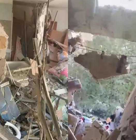 572332604 1410454323984047 1922323803489527481 n