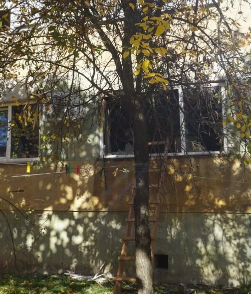 574251171 1240273828138386 6387407347762177781 n