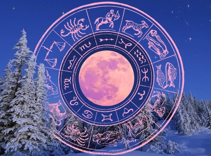 574607224 894335079584872 6523959036651667509 n