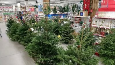 Cum și CÂND se împodobește corect Bradul de Crăciun!  Mulți NU știu asta și au GHINION tot anul viitor!