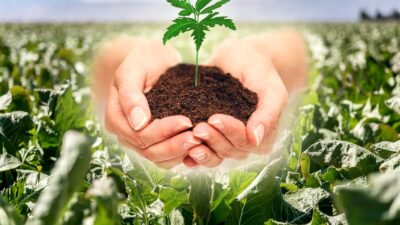 Lovitură totală pentru românii cu solarii! Taxa nouă care i-a înfuriat pe toți, e scandal imens