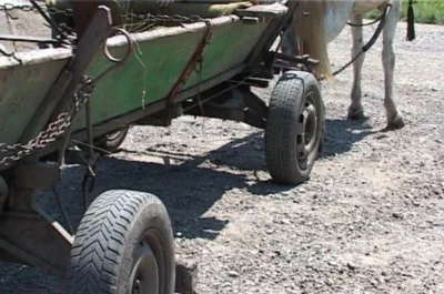 Accident teribil pe o șosea din România! Patru oameni, spulberați în trafic. E jale mare