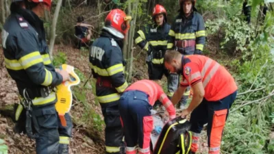 Tragedie la locul de muncă! Un bărbat a murit STRIVIT de un copac în timp ce lucra!