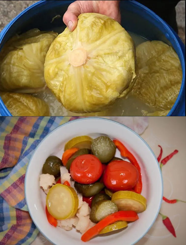 587294603 1471135947906496 8277915804544574702 n.webp