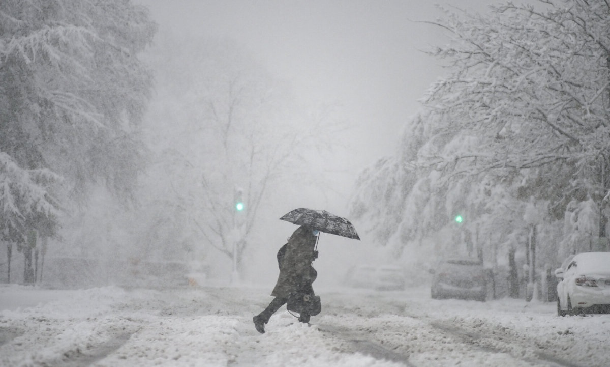 Cod rosu de viscol si ninsori