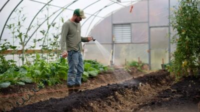 SURPRIZĂ NEPLĂCUTĂ pentru unii români! Din 2026 apare un IMPOZIT NOU. Cei care până acum erau SCUTIȚI vor plăti taxe! Află dacă te afectează