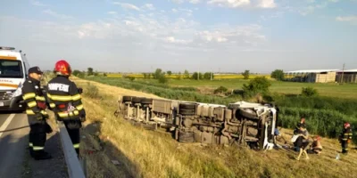 Tragedie în trafic! Transport de porci răsturnat pe drum — bilanț cumplit: toate animalele moarte