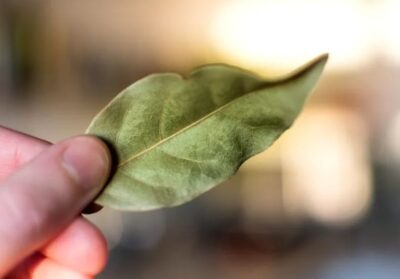 Pui o frunză de dafin la ușă în decembrie? Iată ce înseamnă, de fapt, și de ce tot mai mulți oameni fac ASTA!