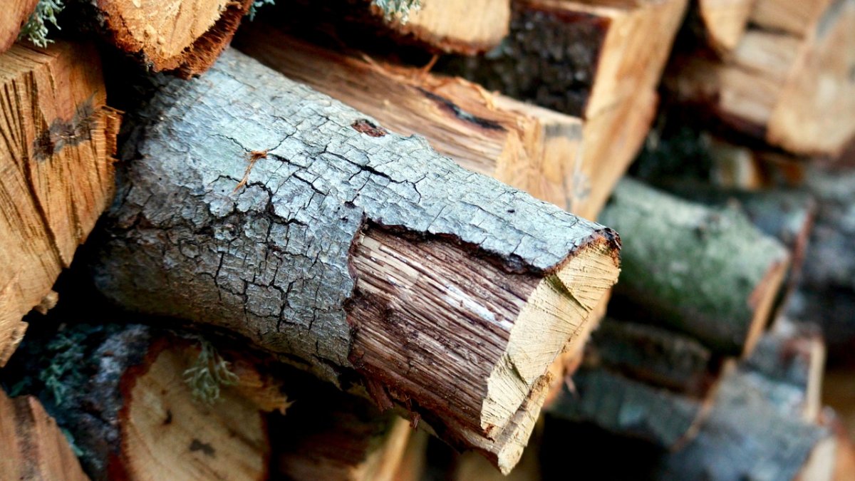 o noua criza loveste romania lemnul de foc s a scumpit si nici nu se gaseste indeajuns 494688