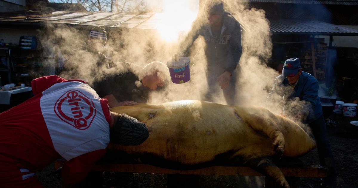 uhttps3A2F2Fobservatornews.ro2Fuploads2Fmodules2Fnews2F02F20252F122F162F6402992Fignat