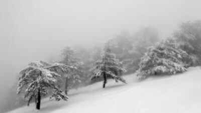 Temperaturi ireale în România. Locul unde s-au resimțit minus 50 de grade Celsius, meteorologii au făcut anunțul