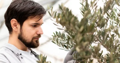 Planta minune care aduce prosperitate și pace în familie. E interzis să îți lipsească din casă