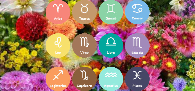 florile potrivite pentru fiecare zodie