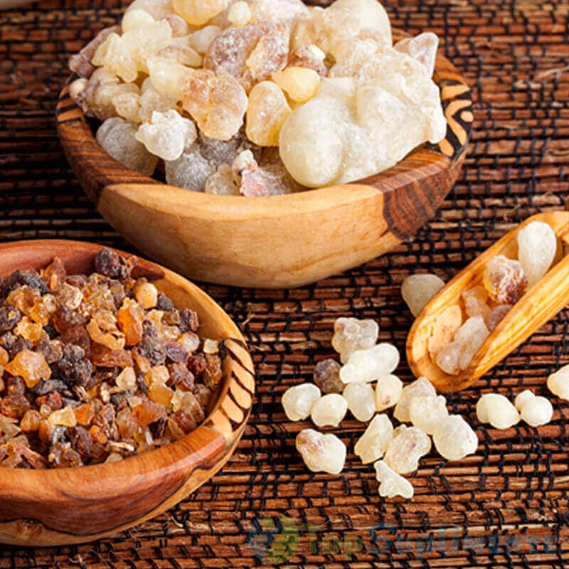 tamaie extract 120cps health n cancer articulatii memorie psihic 190 7340.webp