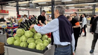 Varza se vinde cu 12 lei, dar ei au lăsat-o să putrezească pe câmp! Dezastru total pentru fermieri: „Pagubă totală”