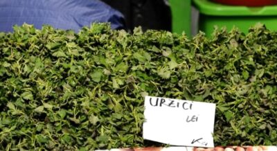 Mâncarea săracului a devenit lux! Cât a ajuns să coste un kg de urzici în piețe. Românii le cumpără cu gramele