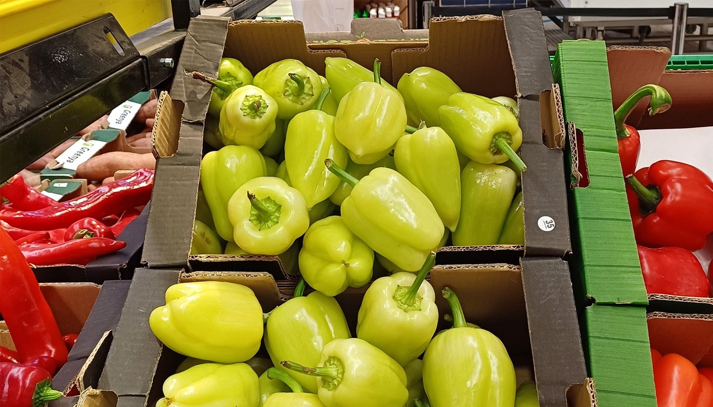 WhatsApp Image 2026 02 14 at 08.06.12