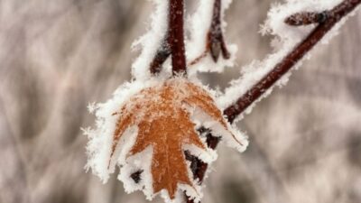 Vremea se schimbă radical! Temperaturile se prăbușesc la -15 grade. Unde vin ninsorile și viscolul