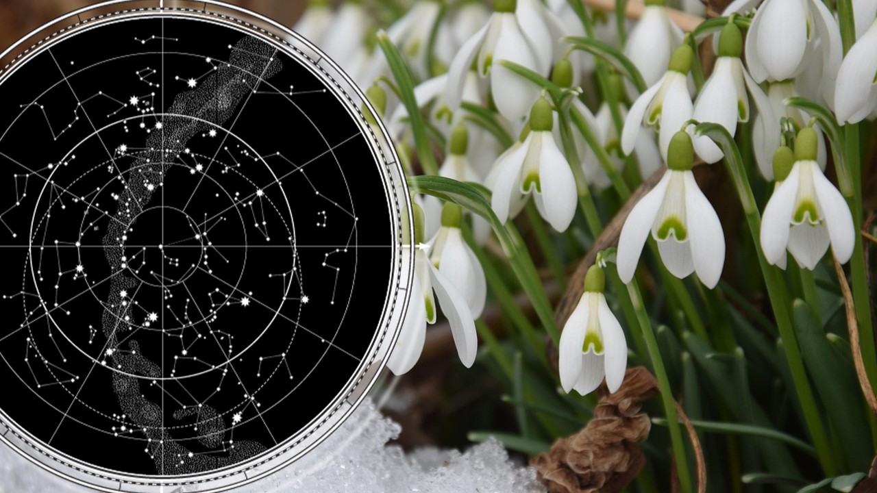 horoscop 17 februarie 2026