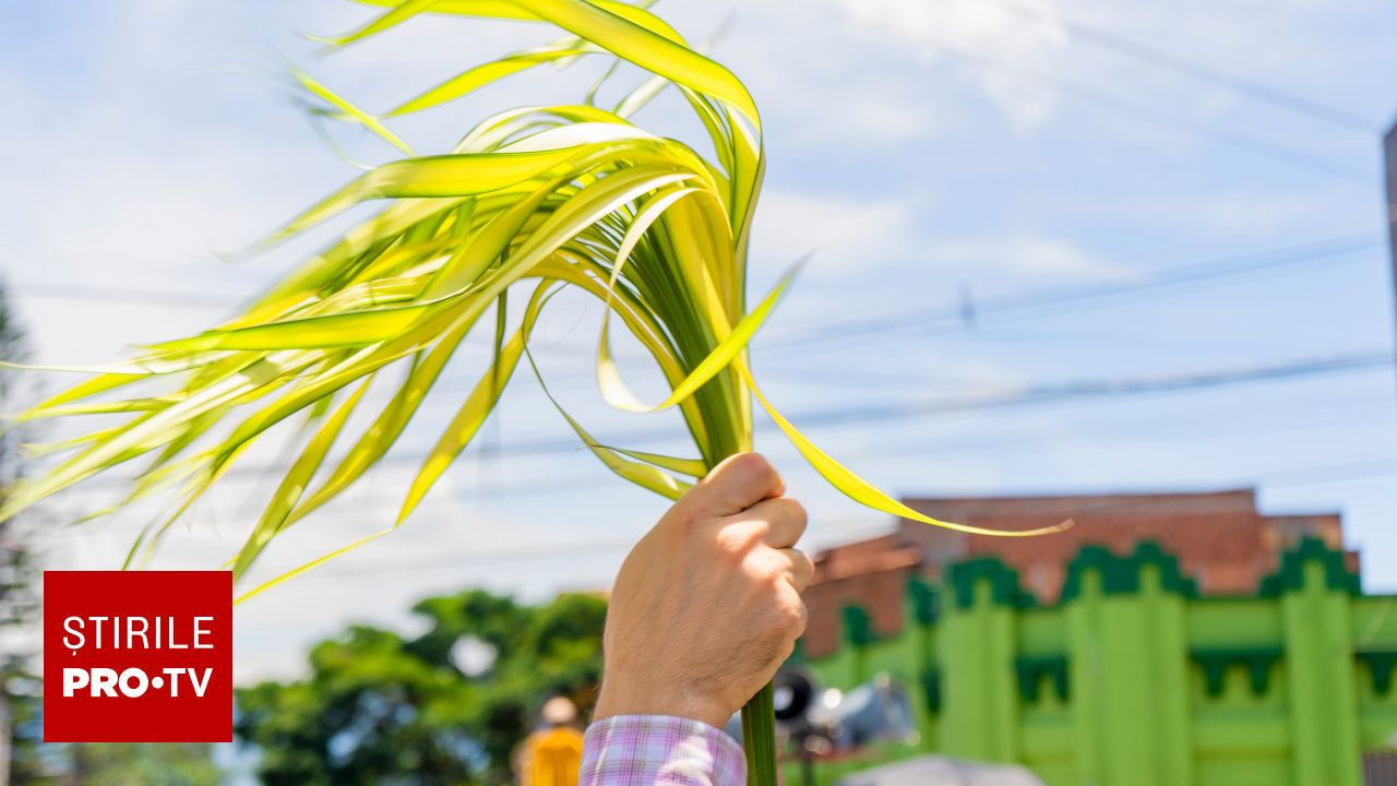 shutterstock 2613916201