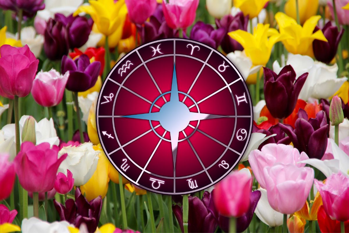 Zodia care dă lovitura la bani pe 24 aprilie! Noroc uriaș pentru acești nativi, primesc vestea care le schimbă viața