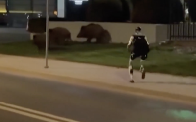 Fugareste mistreții și poartă Rolex! Cine este Edward, robotul care a înnebunit internetul cu …